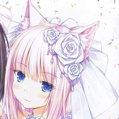 记者报道小区散养流浪猫被熏到干呕